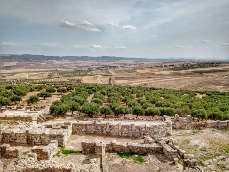 Beja Arkeolojik Alanlar