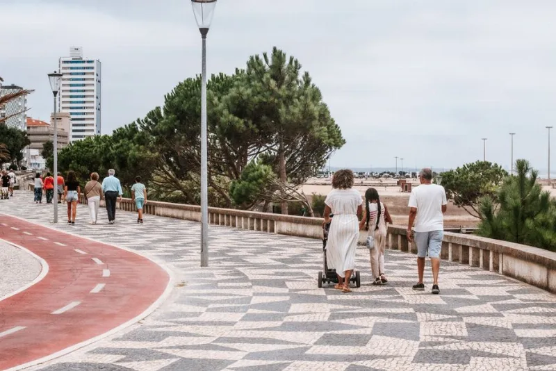 Espinho Rehberi