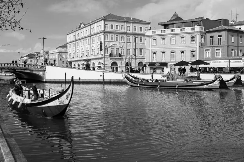 Aveiro Lagün Gezileri