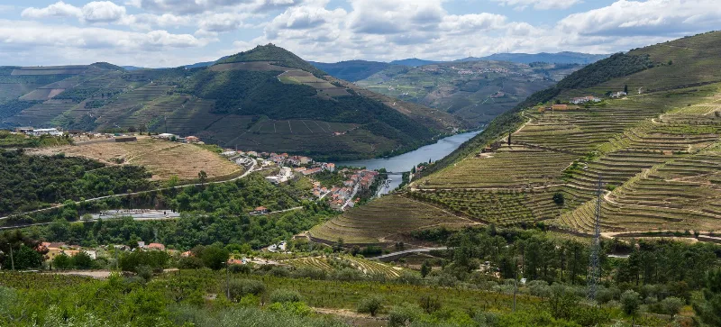 Vizela