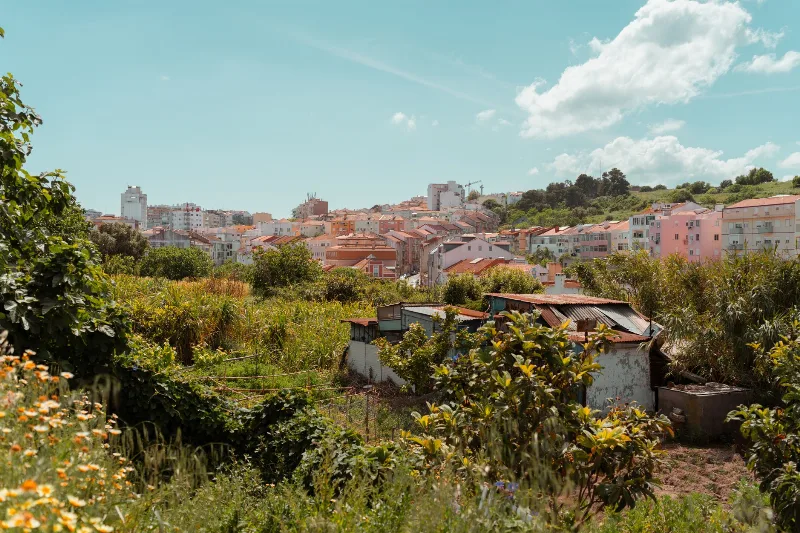Felgueiras