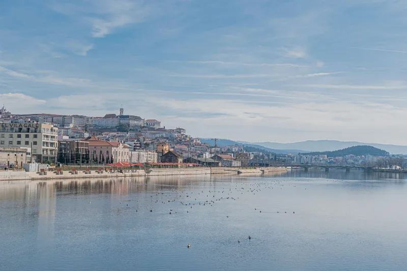 Coimbra Aile Birleşimi Başvurusu